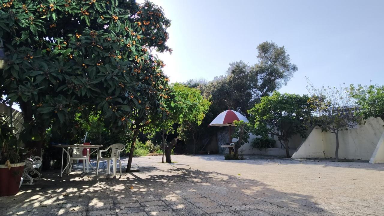 Forever Sao Bras ساو برأس دي البورتيل المظهر الخارجي الصورة